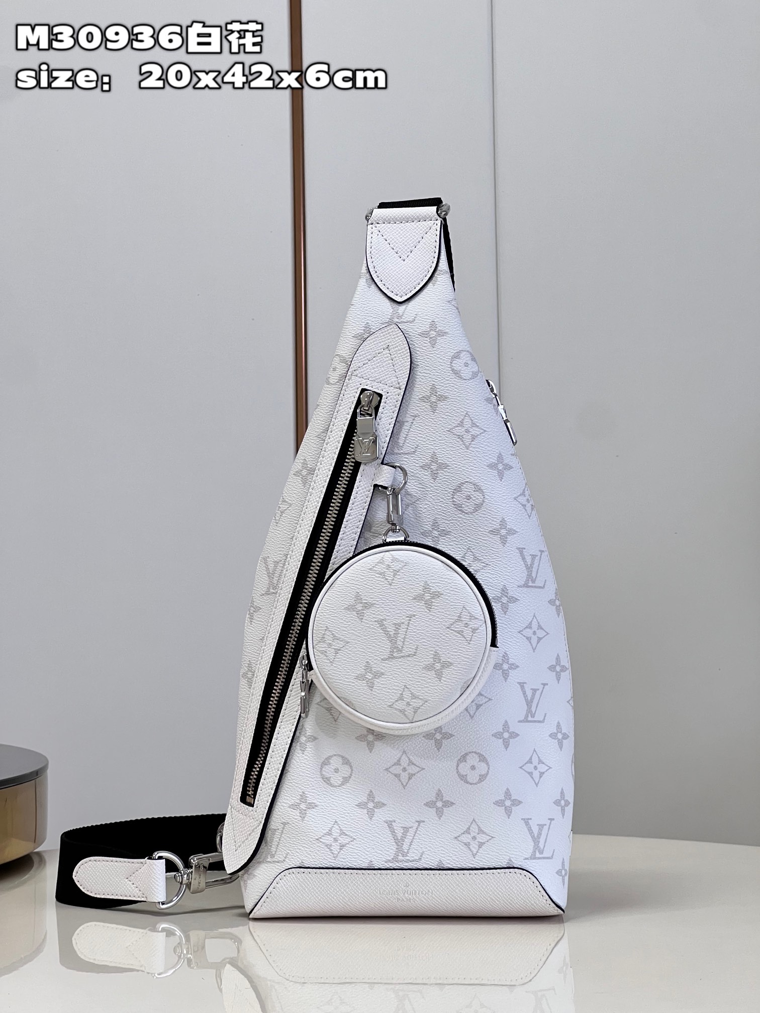 LV Bag