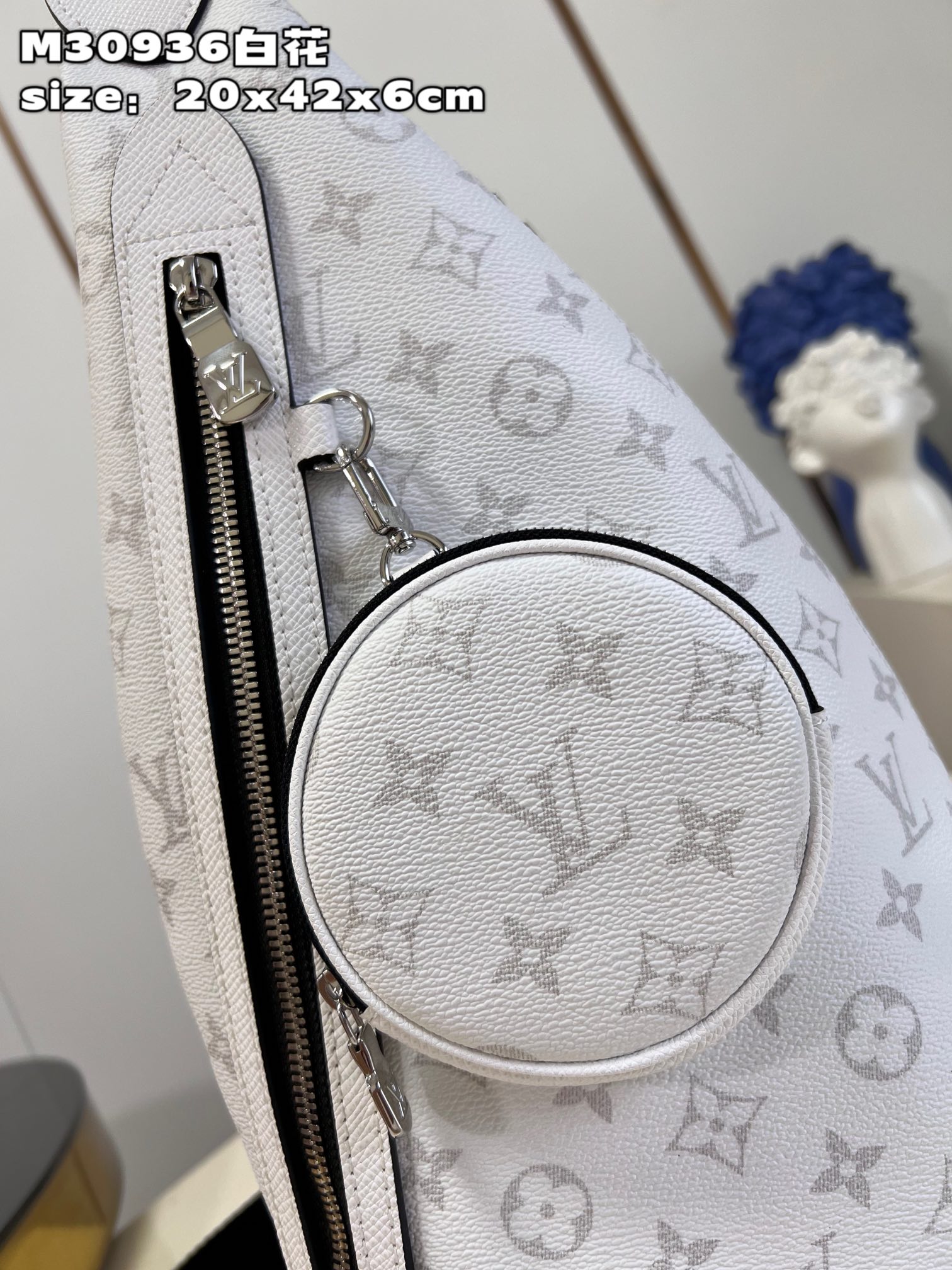 LV Bag
