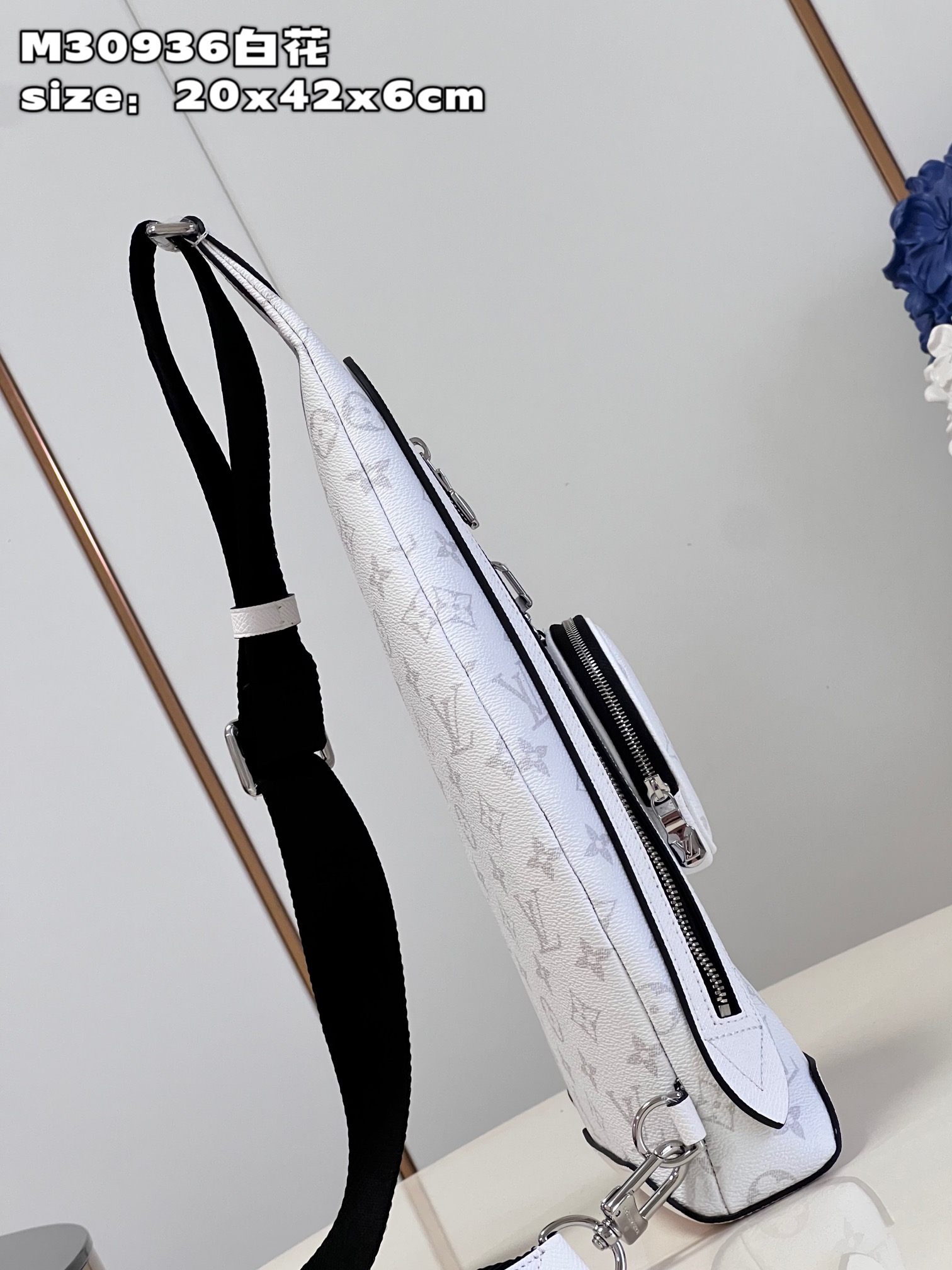 LV Bag