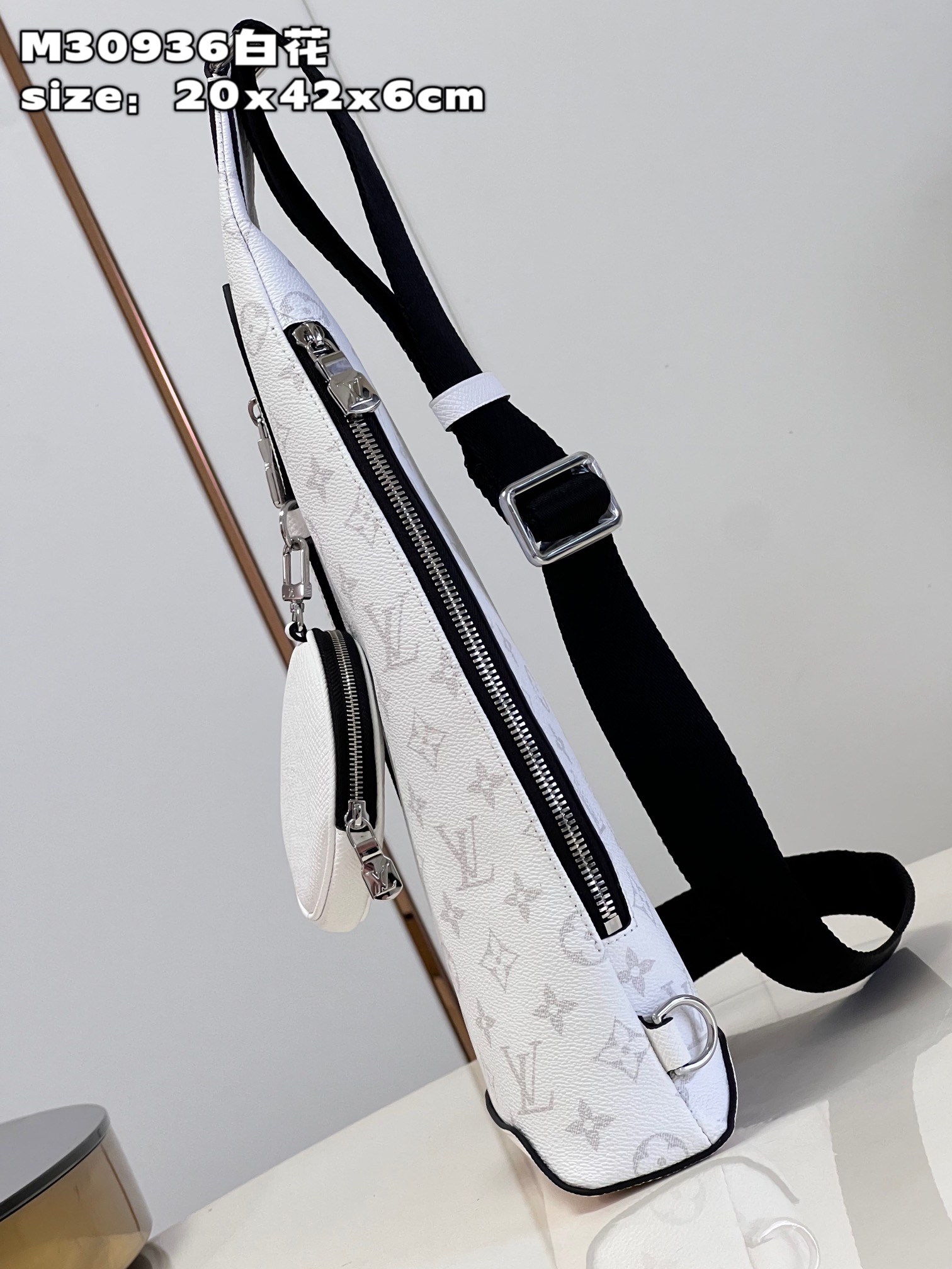 LV Bag