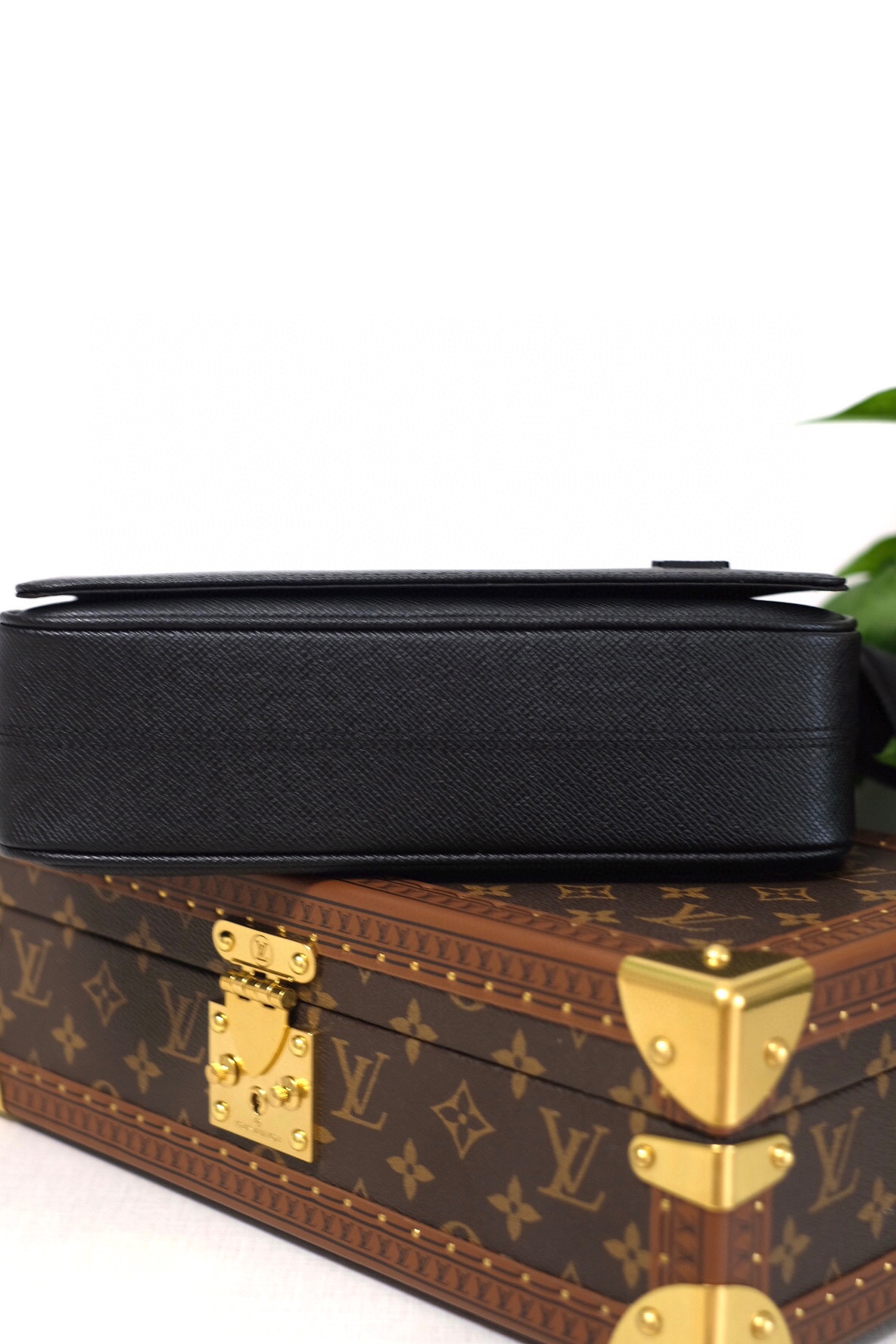 LV Bag