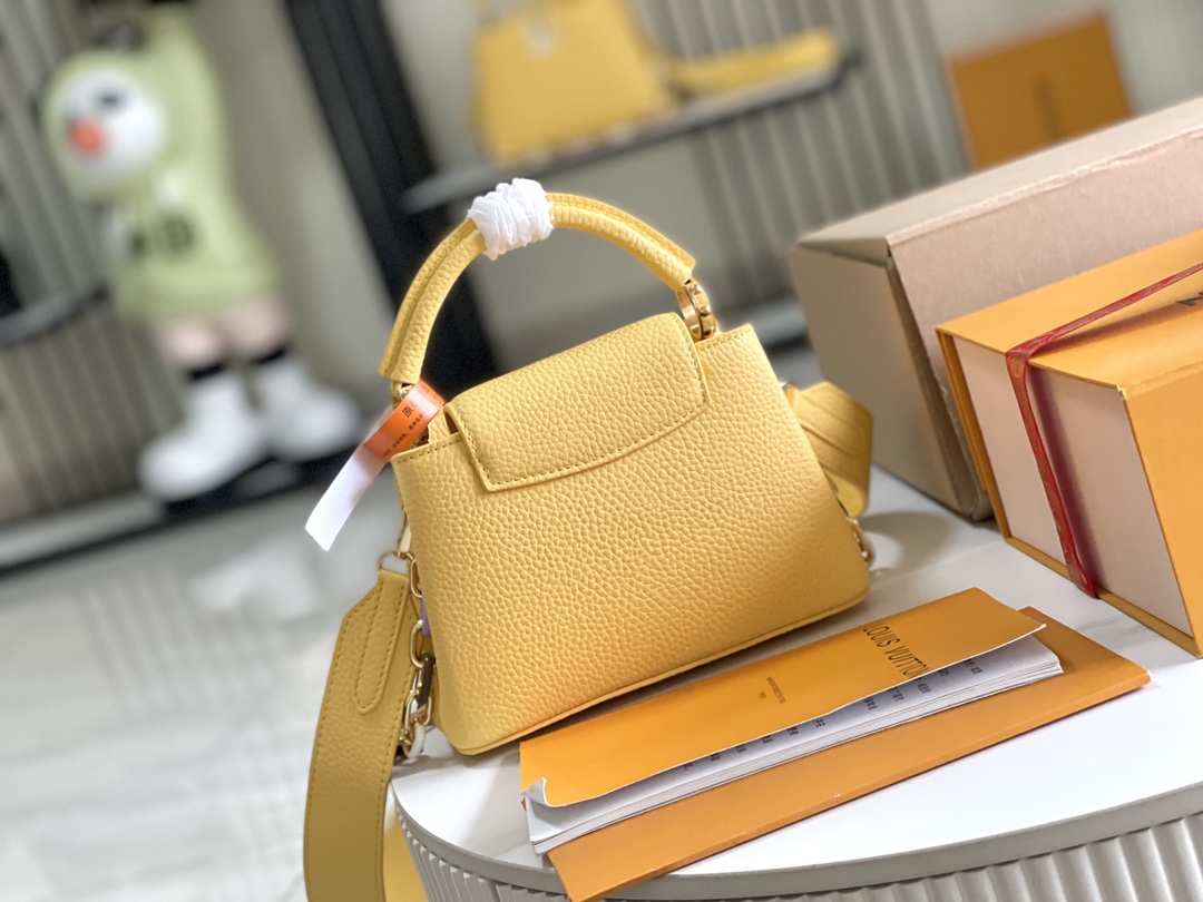 LV Bag