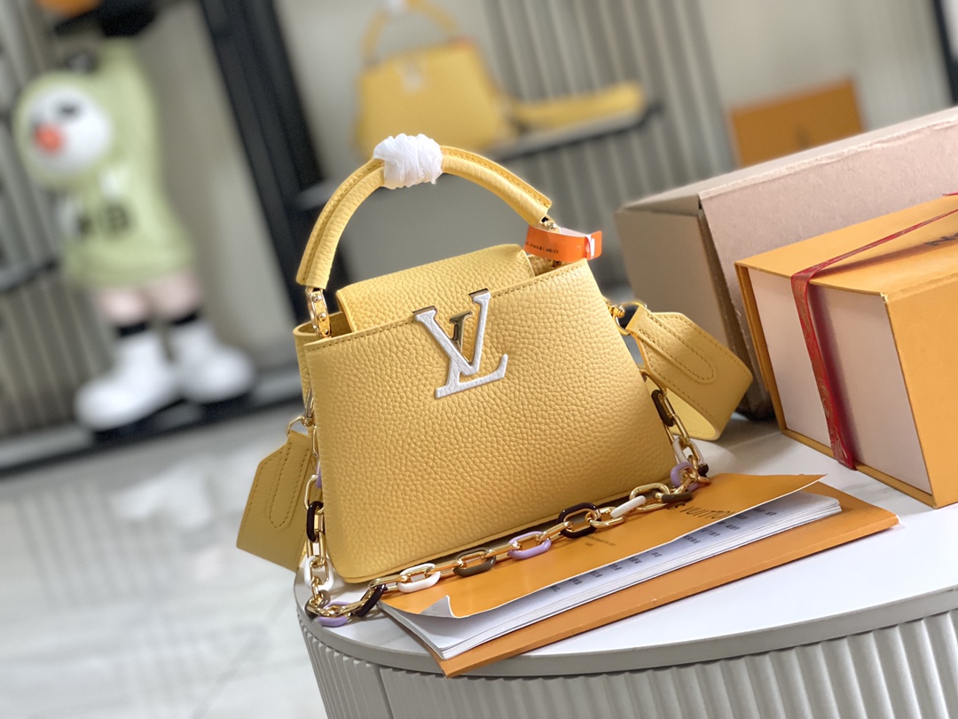 LV Bag