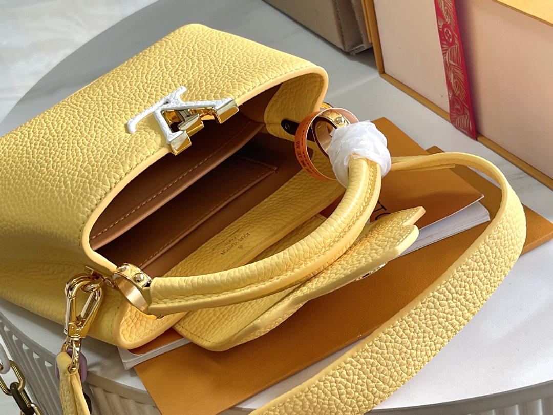 LV Bag