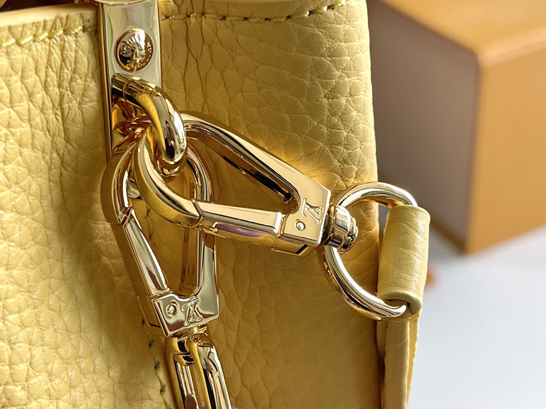 LV Bag