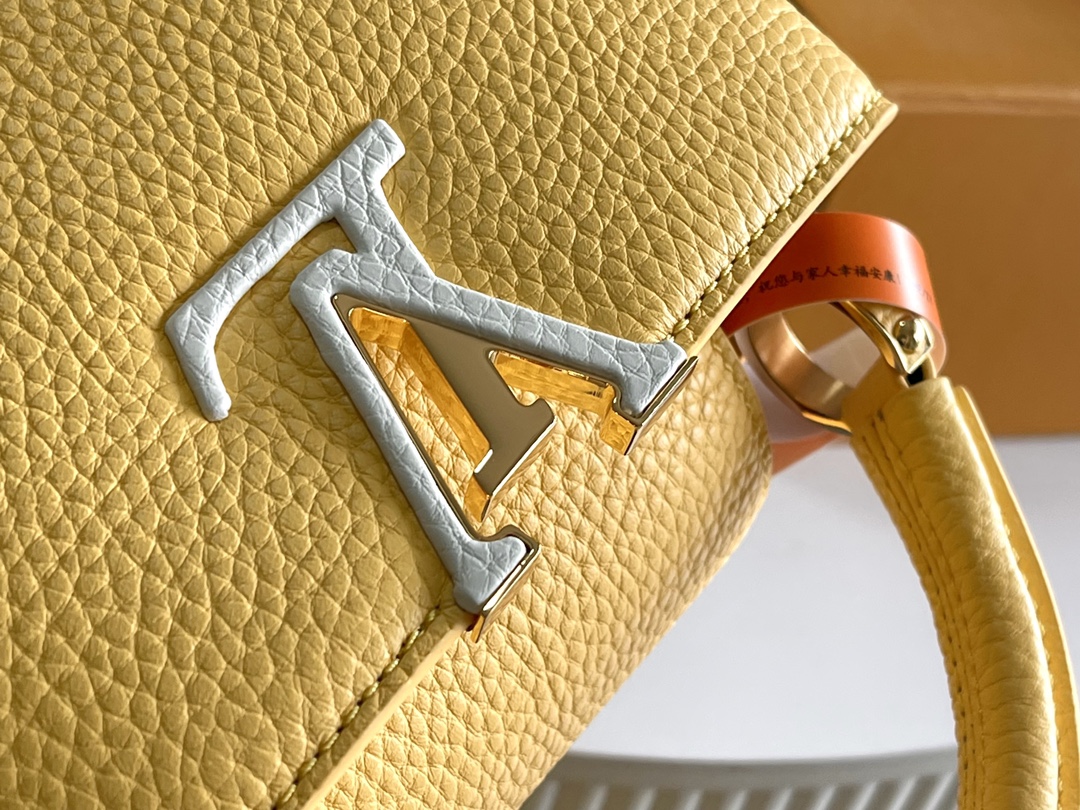LV Bag