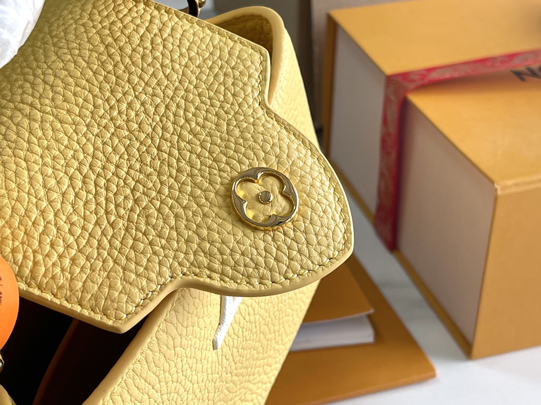 LV Bag