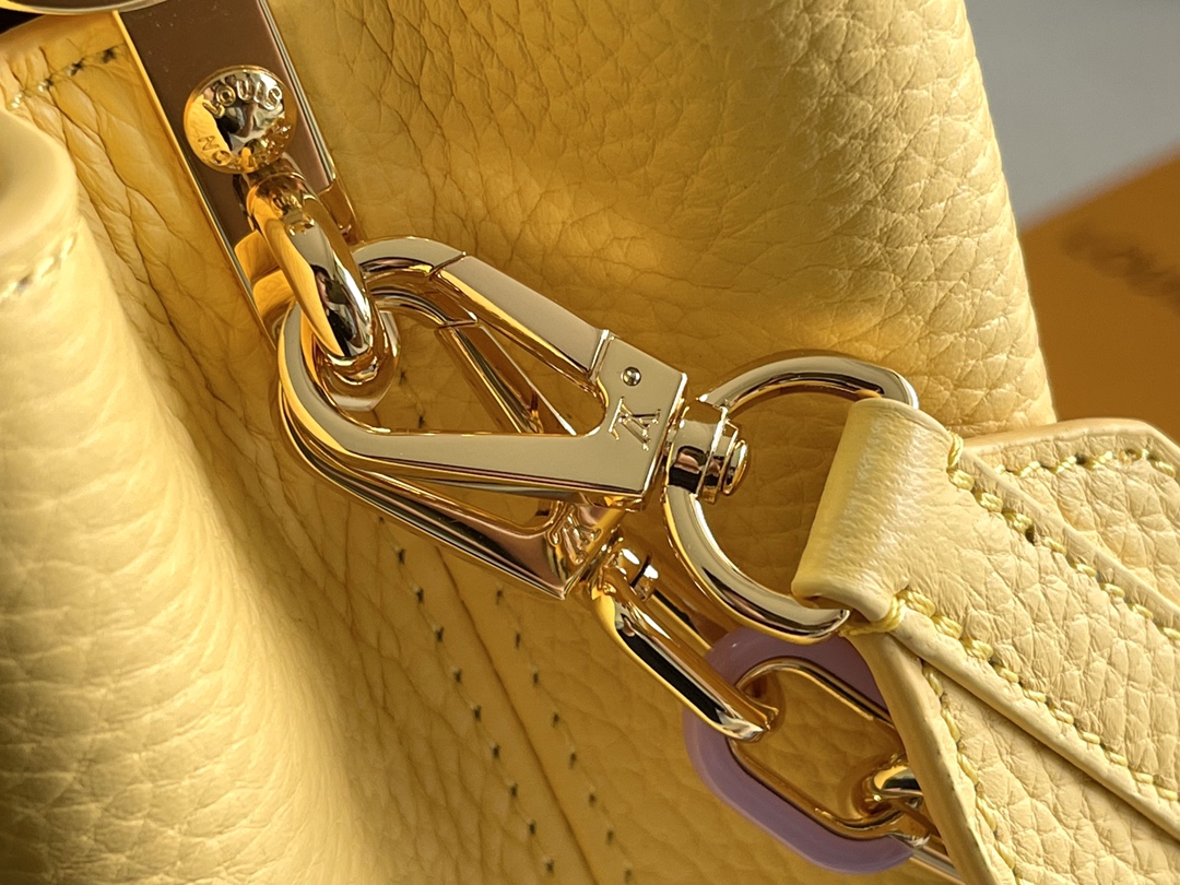 LV Bag