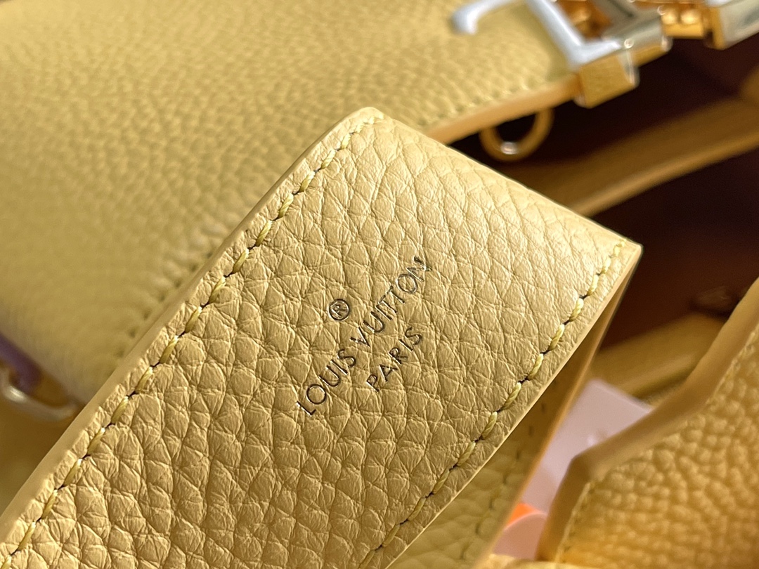 LV Bag
