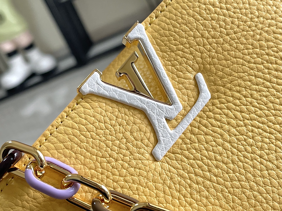 LV Bag