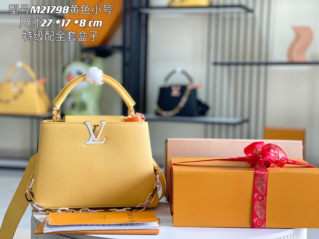 LV Bag