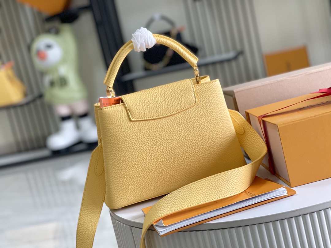 LV Bag