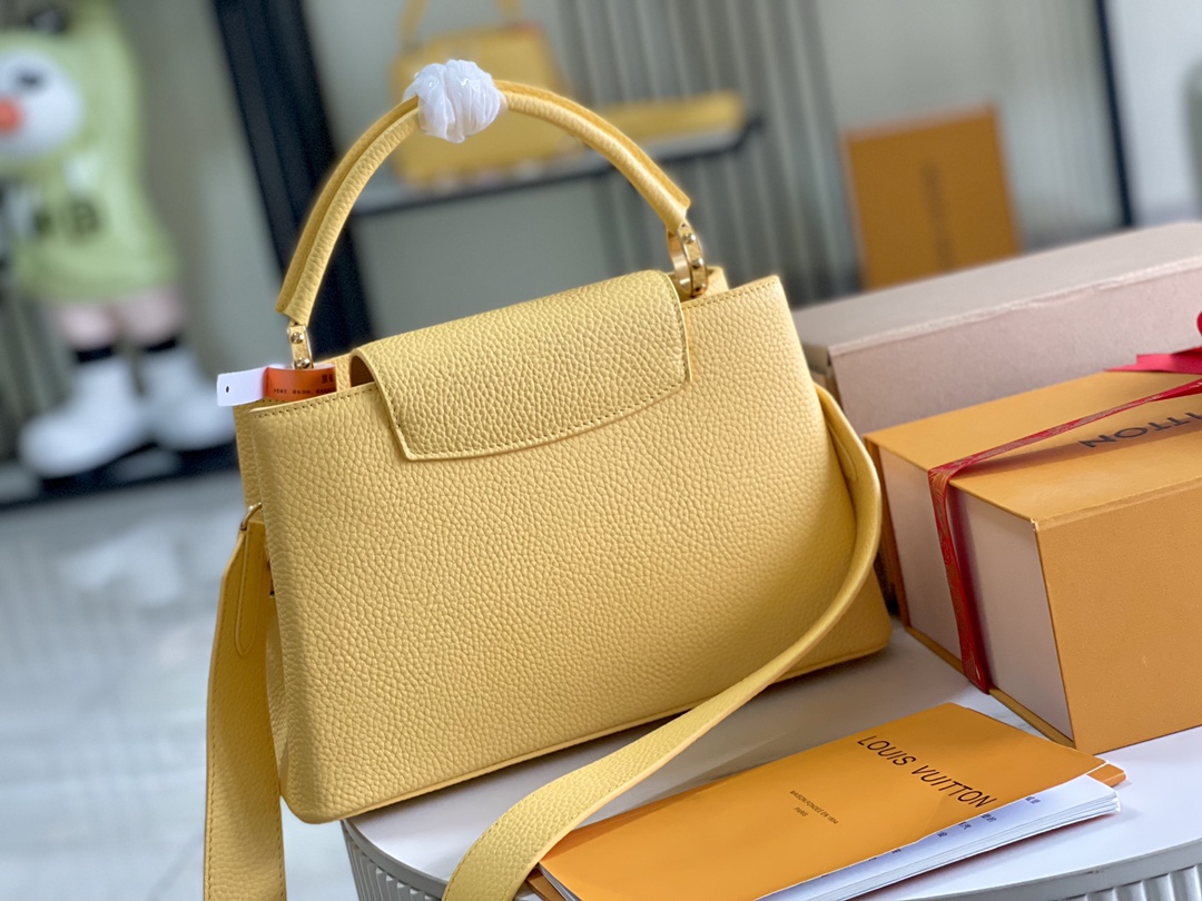 LV Bag