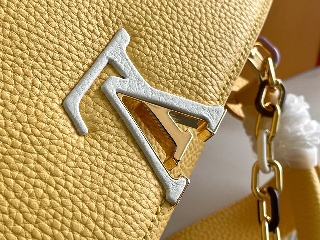 LV Bag