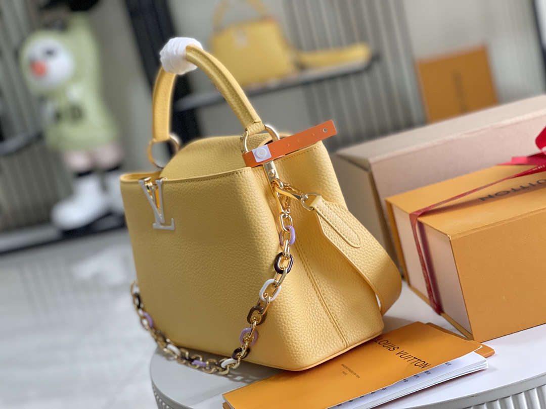 LV Bag