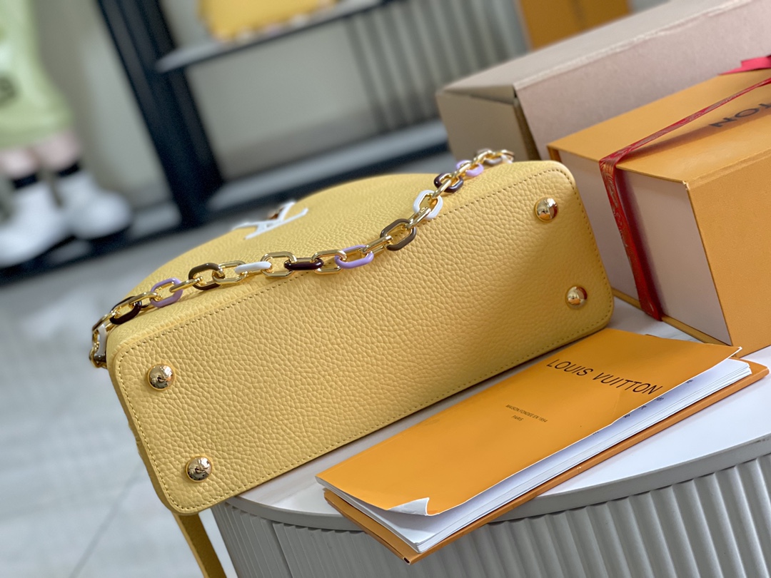 LV Bag