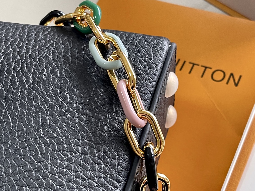 LV Bag