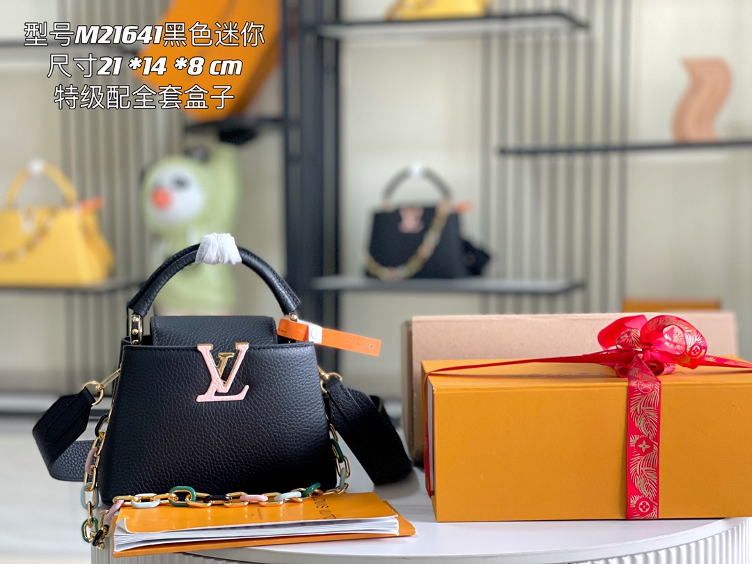 LV Bag