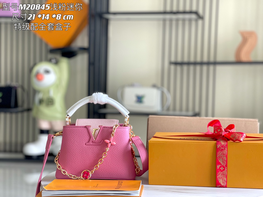 LV Bag