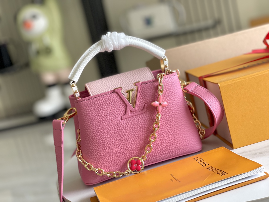 LV Bag