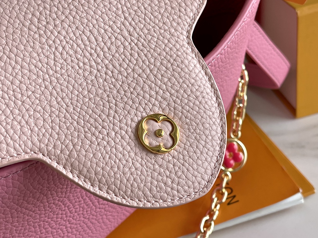 LV Bag