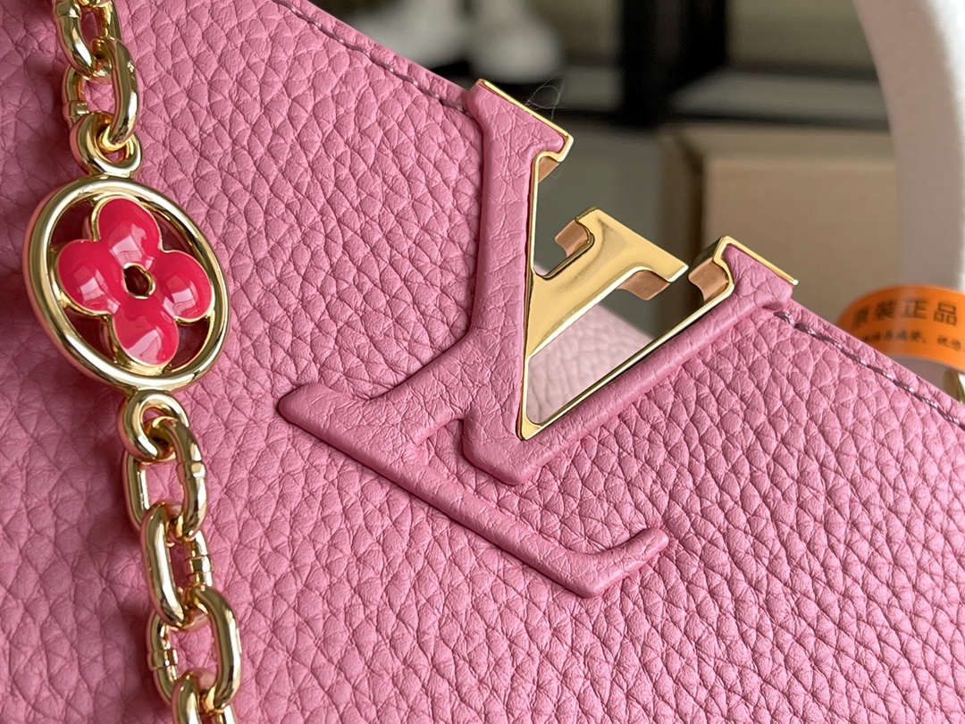 LV Bag