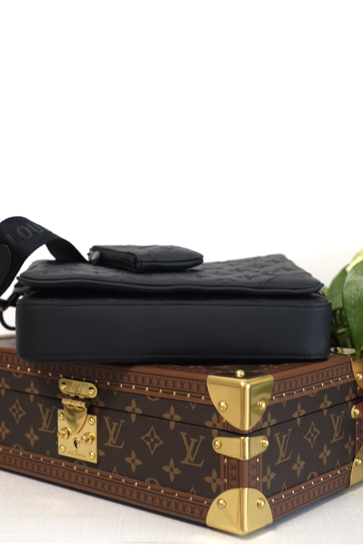 LV Bag