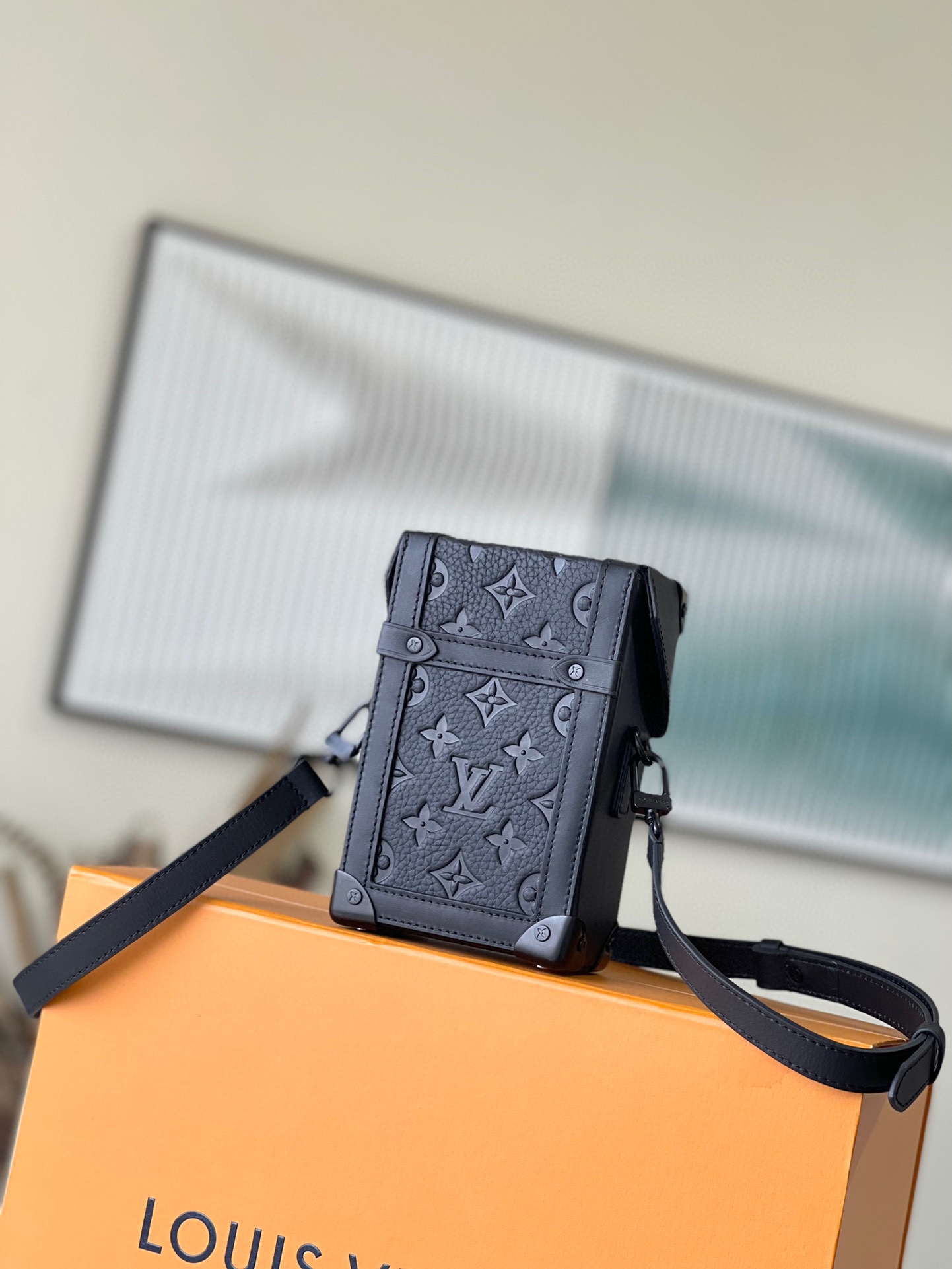 LV Bag