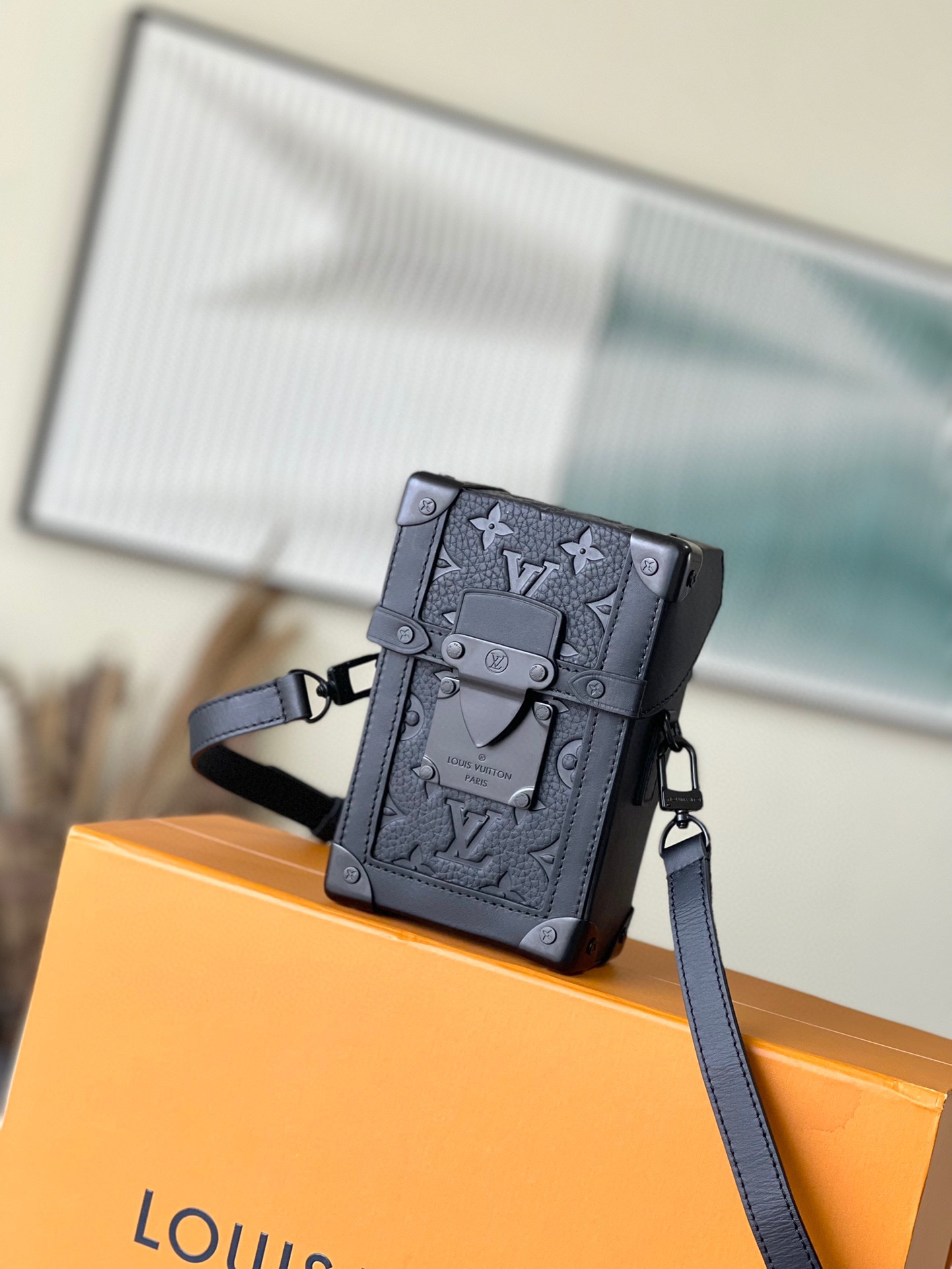 LV Bag