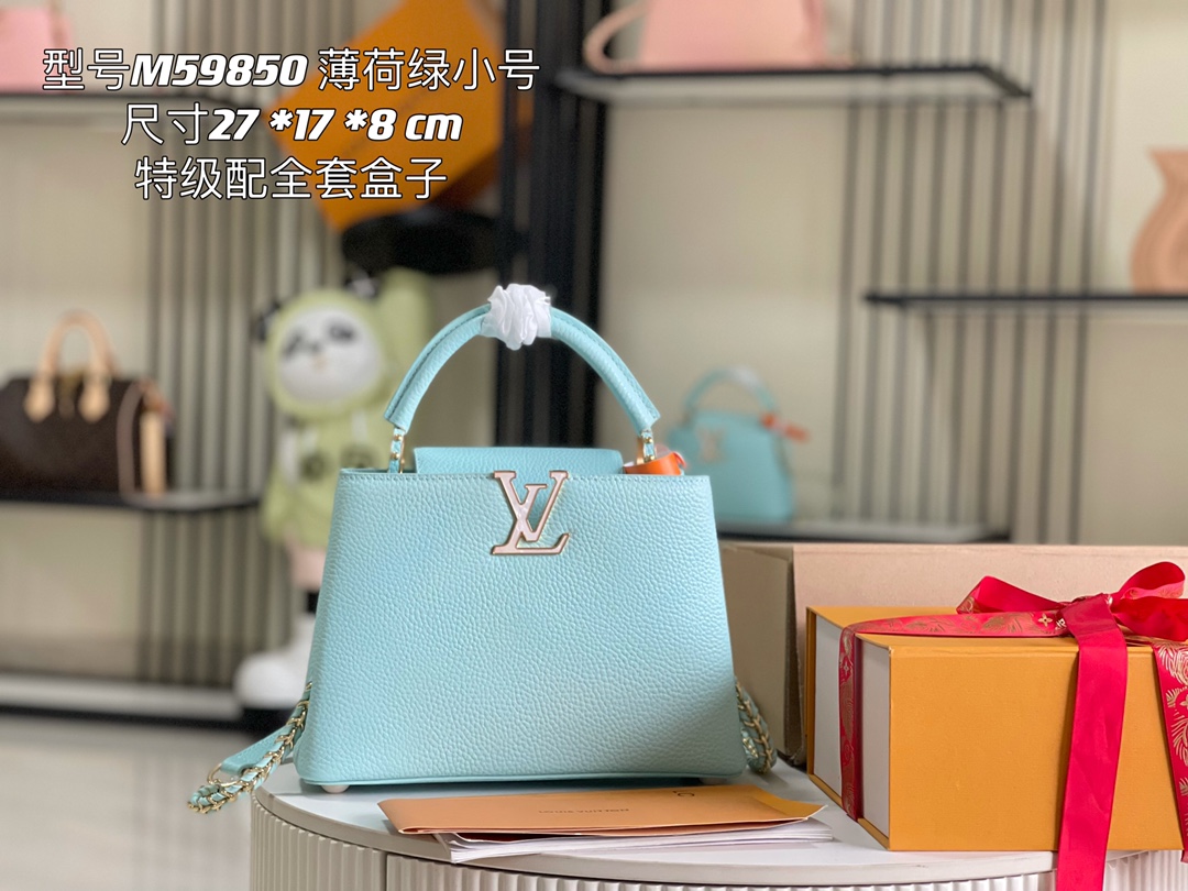 LV Bag