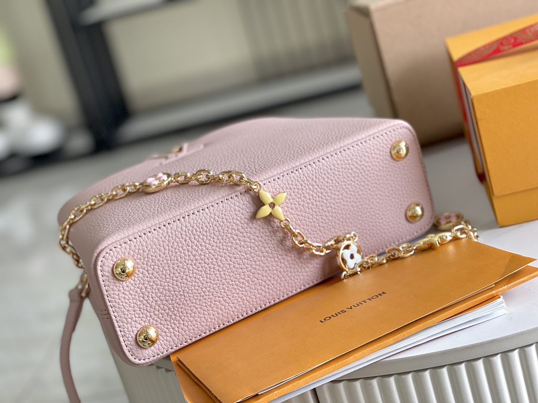 LV Bag