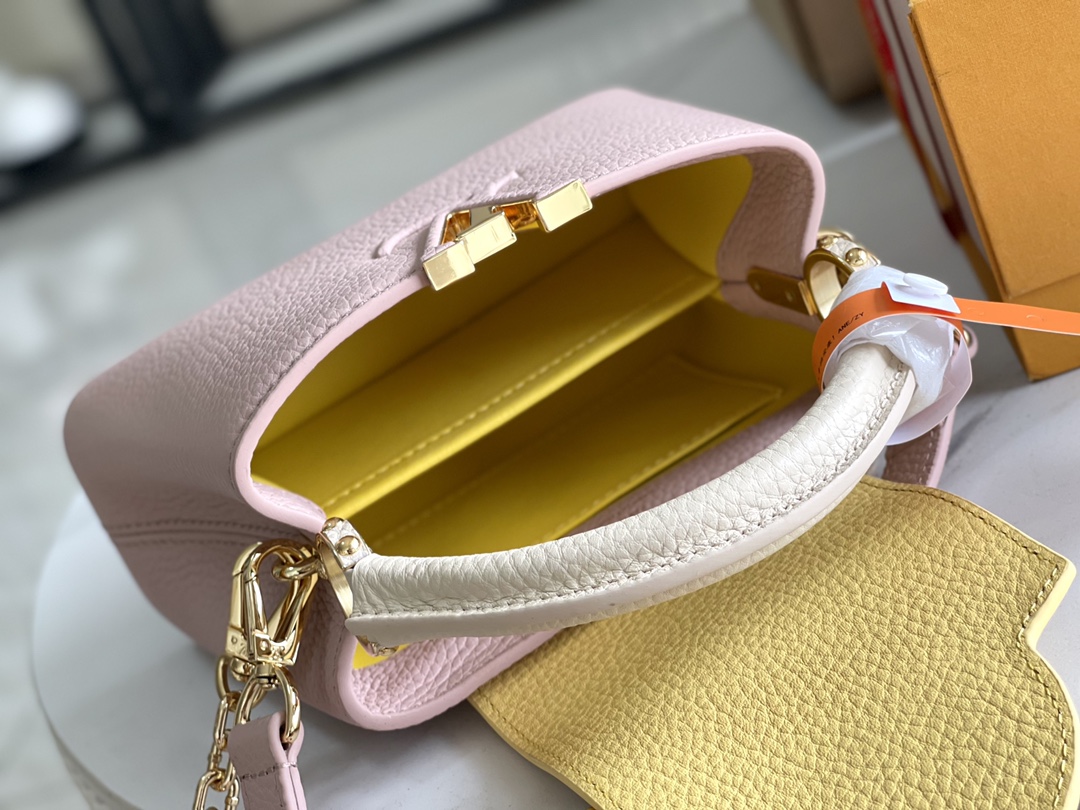 LV Bag