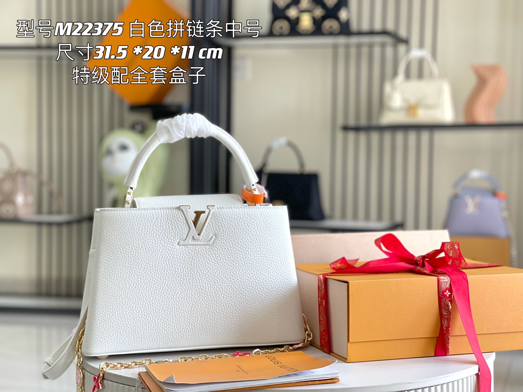 LV Bag