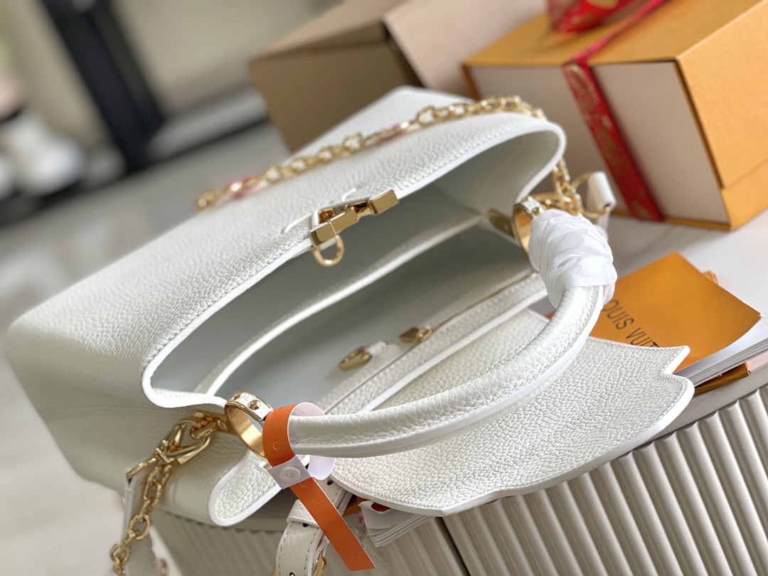 LV Bag