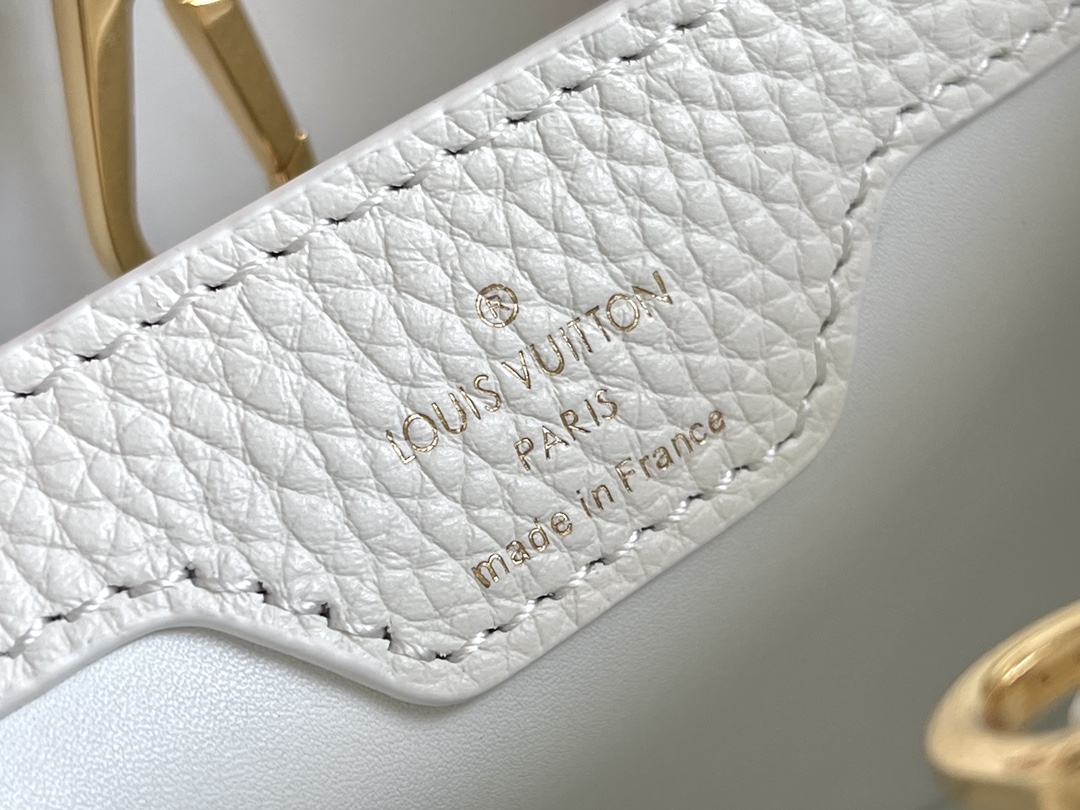 LV Bag