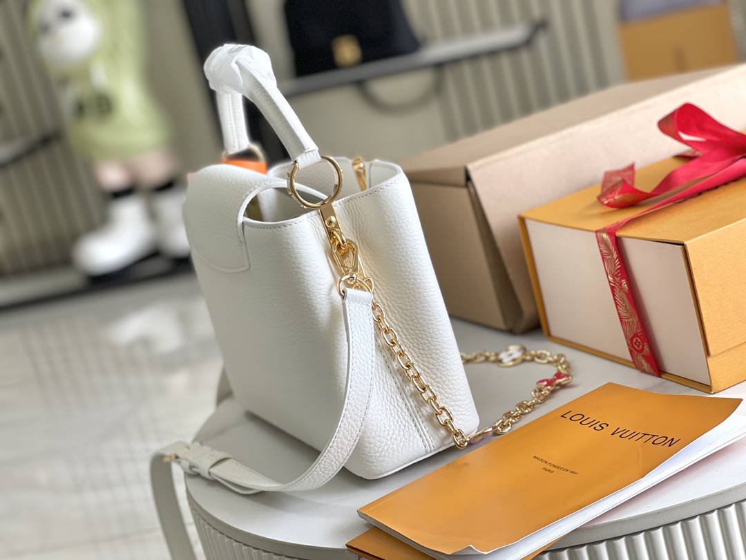 LV Bag