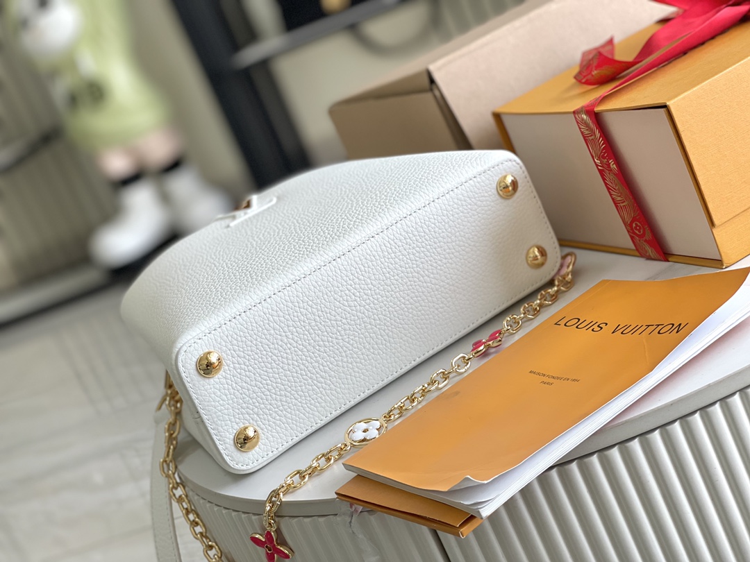 LV Bag