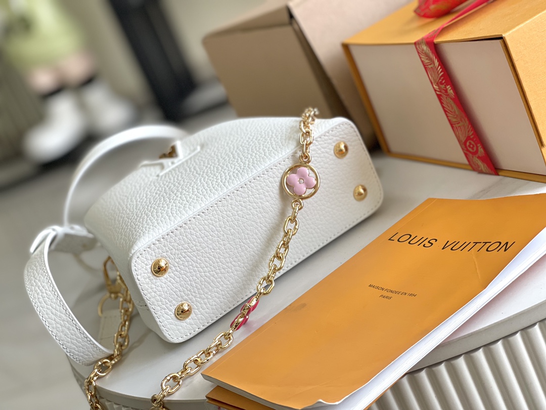 LV Bag