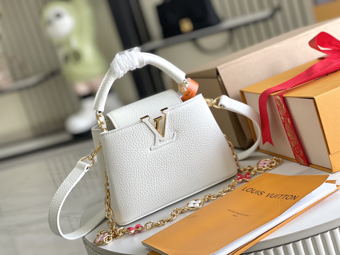 LV Bag