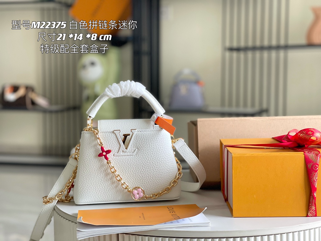 LV Bag