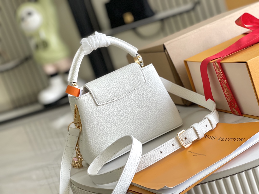 LV Bag