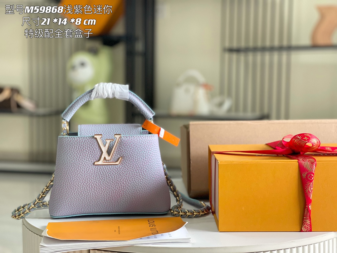 LV Bag