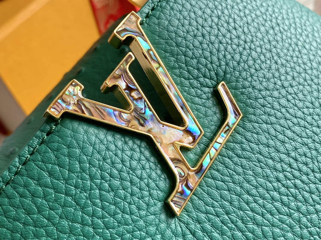 LV Bag