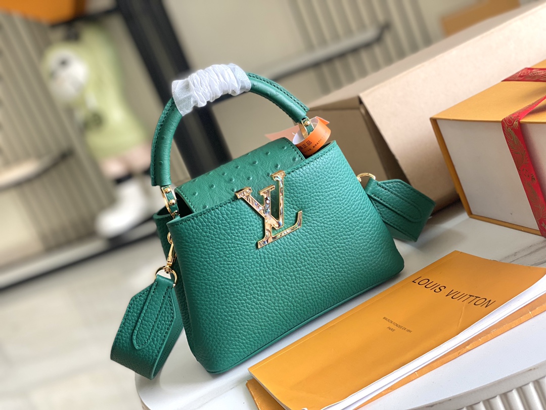 LV Bag