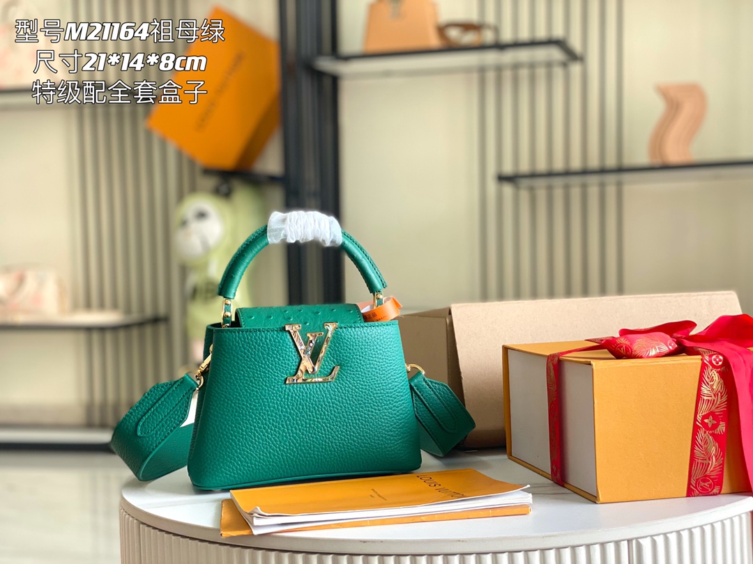 LV Bag