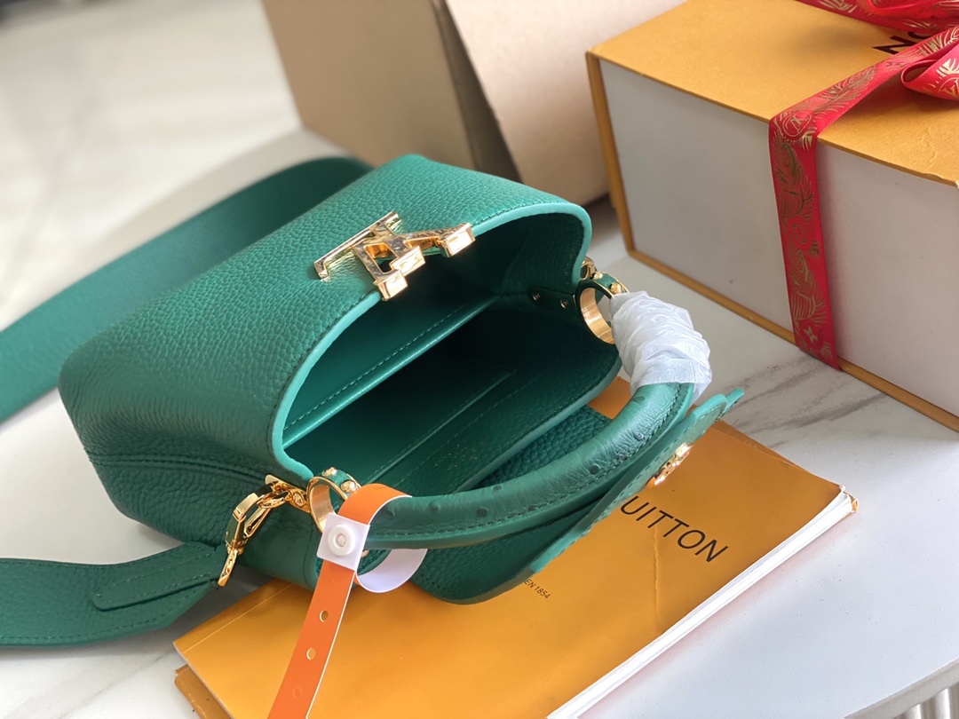LV Bag
