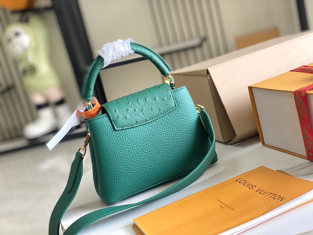 LV Bag
