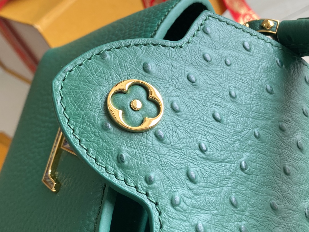 LV Bag