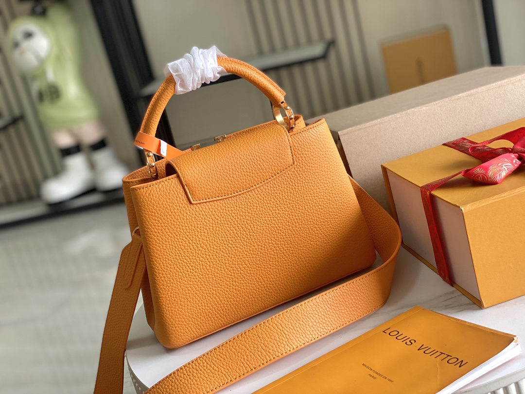 LV Bag
