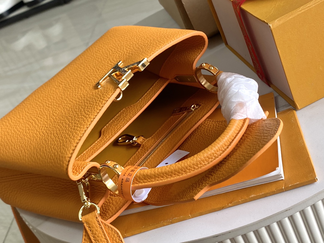 LV Bag